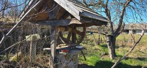 The Nest Koryciski Agroturystyka