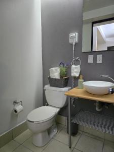 2hab en Centro Histórico