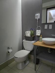 2hab en Centro Histórico