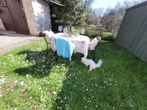 Ferienwohnung Istrien 200m Strand