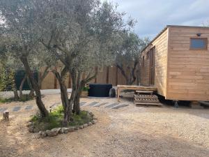 La Tiny House des Oliviers et son jacuzzi