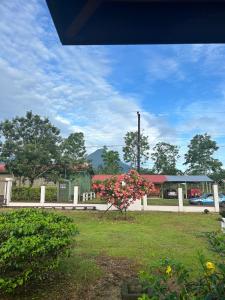 Volcano Refuge House