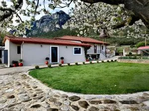 Vasia's Cozy House - Polydrossos