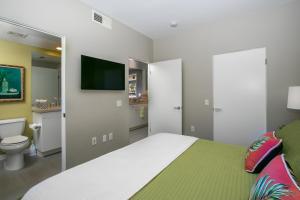 BiltmoreMod by Oranj Palm