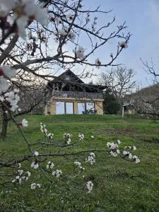 Forest Heaven Retreat - 奥夫查尔巴尼亚尼