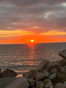 Palm hotel - Туніс