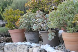 Maisons d'hotes Le Hameau Fleur de Pierres , Chambre , Gite et Table d'Hotes : photos des chambres