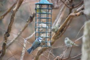 Maisons d'hotes Le Hameau Fleur de Pierres , Chambre , Gite et Table d'Hotes : photos des chambres