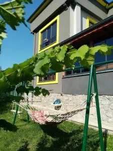 Ömer bey konak - 阿克恰阿巴德