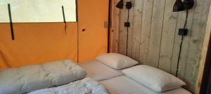 Tente safari Lodge Castelwood