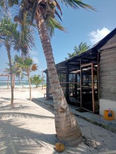 La cabaña del pescador