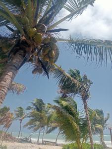 La cabaña del pescador