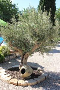 Maisons d'hotes Le Hameau Fleur de Pierres , Chambre , Gite et Table d'Hotes : Suite Deluxe avec Lit King-Size