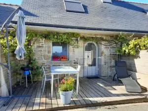 CHARMANTE PETITE MAISON BRETONNE T1bis vue mer et nature - 普卢贡韦兰