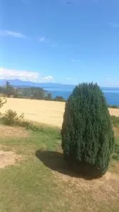 Grandioso alojamiento en el Sur cercano a Osorno y Valdivia - Río Bueno