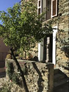 Appartements Maison de village 3 chambres 2 SDB avec terrasse & jardin - Proche St Florent : photos des chambres