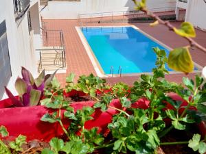 Safari Stay Appart front mer avec piscine