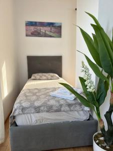 Gafko Apartments Currila Beach