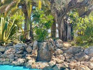 THE BEACH HOUSE PLAYA DEL ARENAL Jávea - Pool and Garden Steps from the beach