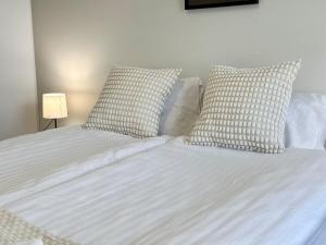 Scandic Style Above Rooftops