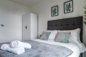 Manchester City Centre,Picadilly , Skyline View