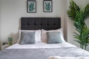 Manchester City Centre,Picadilly , Skyline View