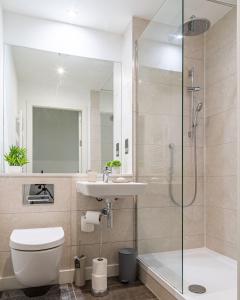 Manchester City Centre,Picadilly , Skyline View