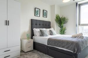 Manchester City Centre,Picadilly , Skyline View