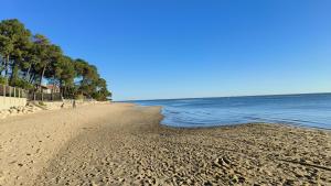 Appartements Gite Le Ruisseau confort et calme pour 2 a 4 personnes : photos des chambres