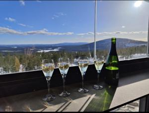 Levi Chalets 1607 Ski-in Ski-out with mountain view and with 2 skipasses