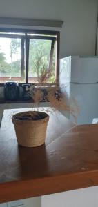 Pé na areia! Canto do Moreira -30 Metros da Praia