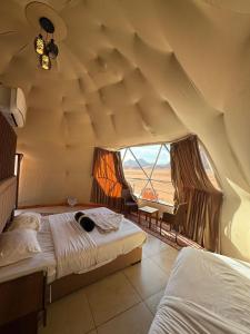 Wadi Rum Hala camp