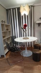 Apartamento Centro Rincón de San Miguel