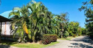 OYO 75489 Leelawadee NonPho Resort (Amnatcharoen)