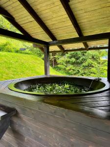 Cottages Shepit Lisu