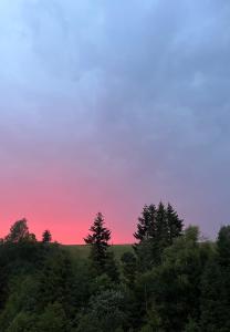 Cottages Shepit Lisu