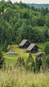 Cottages Shepit Lisu - 奥尔亚维奇克