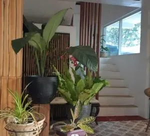 OYO 1130 Thrivers Hometel - Pinamalayan