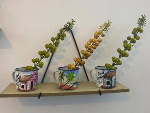 Lovely apartment colonial zone