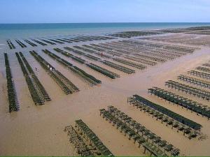 Appartements Les mouettes Apt duplex independant dans maison spacieux petite vue sur mer des chambres belle terrasse amenagee en hauteur pres Omaha Beach et Bayeux 800 m plage et 300 m superette : photos des chambres