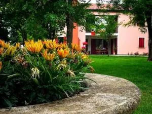 La casa di via Argine - Vanzo