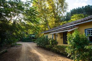 Fazenda Santa Thereza - Itapira