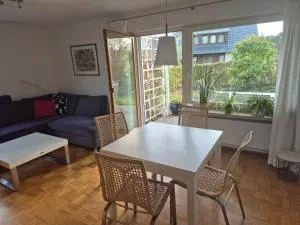 Seeschwalbe - Markelfingen