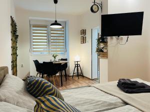 Studio Apartment Gradić
