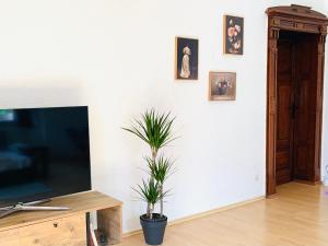 Burg Aue- Ferienwohnungen Erzglück - Familien - im Grünen - zentral