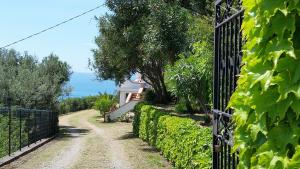 Villa Anna - Ampio appartamento con terrazza panoramica sul mare