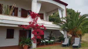 Villa Anna - Ampio appartamento con terrazza panoramica sul mare