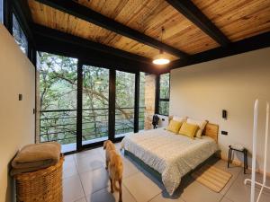 Casa Estudio UMMA, Punta del Bosque