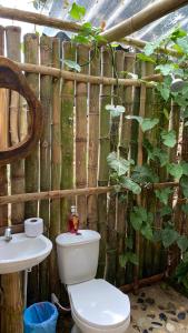 Dacnis tayrona glamping