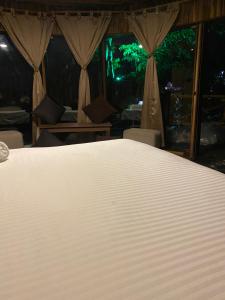 Dacnis tayrona glamping